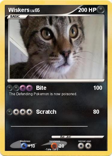 Pokemon Wiskers