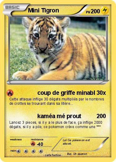 Pokemon Mini Tigron