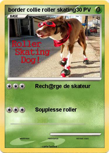Pokemon border collie roller skating