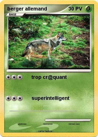 Pokemon berger allemand