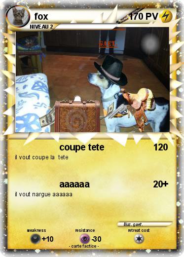 Pokemon fox