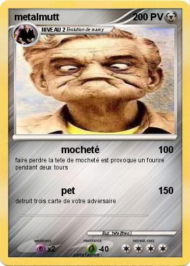 Pokemon metalmutt
