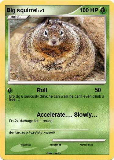 Pokemon Big squirrel