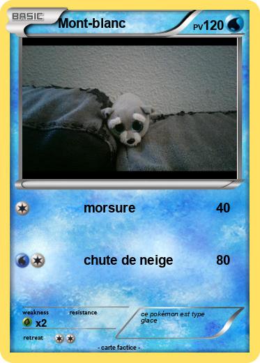 Pokemon Mont-blanc