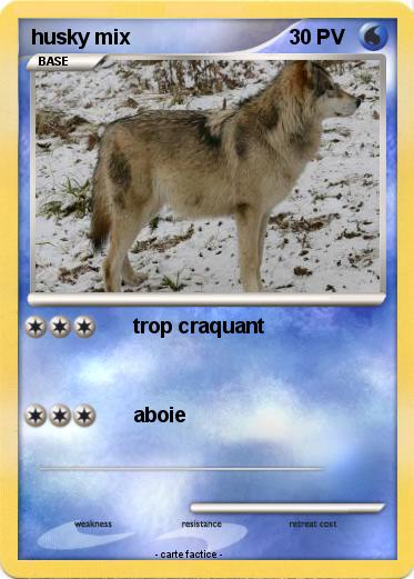 Pokemon husky mix