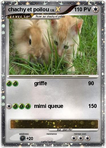 Pokemon chachy et poilou