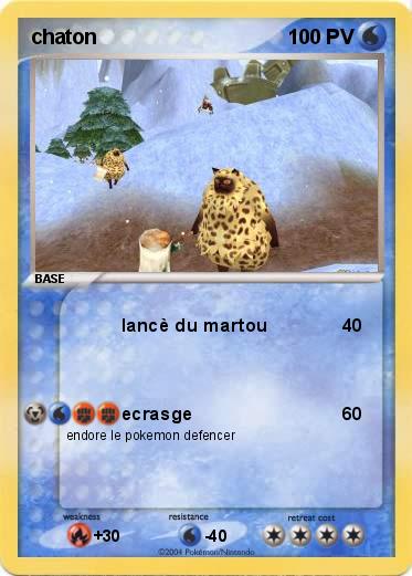 Pokemon chaton
