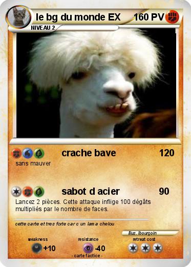 Pokemon le bg du monde EX