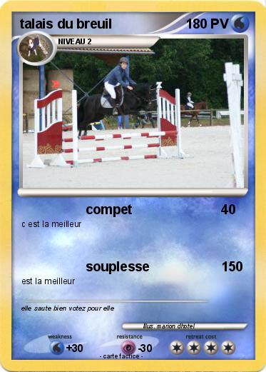 Pokemon talais du breuil