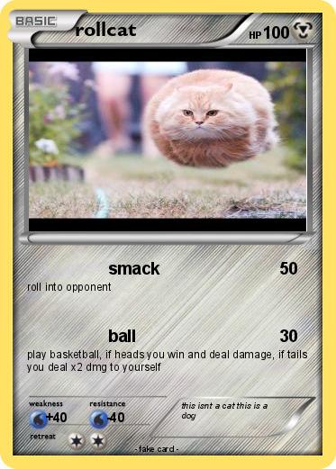 Pokemon rollcat