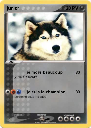 Pokemon junior