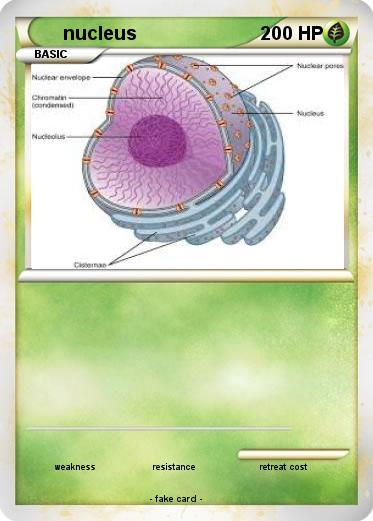 Pokemon nucleus