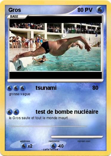 Pokemon Gros
