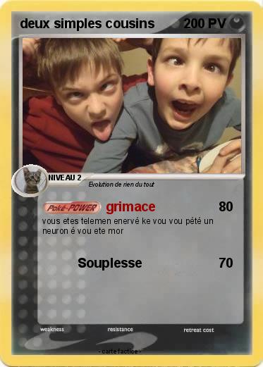 Pokemon deux simples cousins