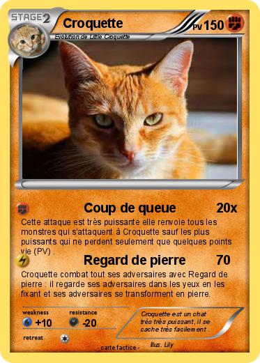 Pokemon Croquette