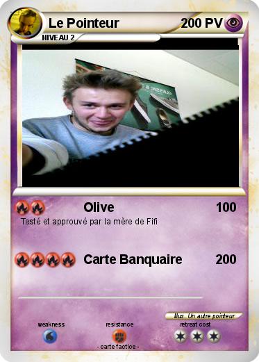 Pokemon Le Pointeur