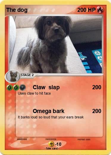 Pokemon The dog