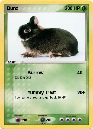 Pokemon Bunz