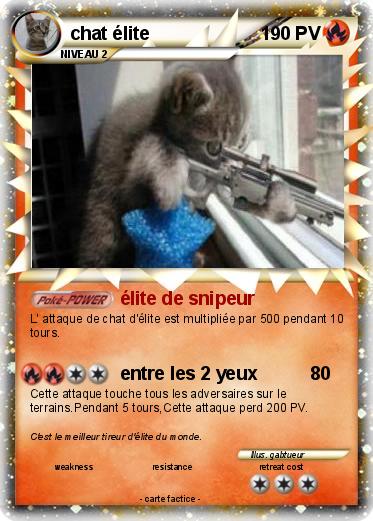 Pokemon chat élite