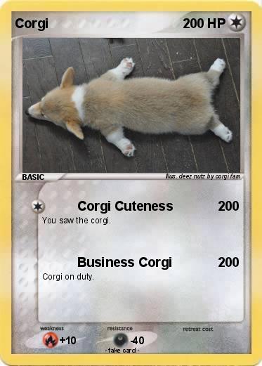 Pokemon Corgi
