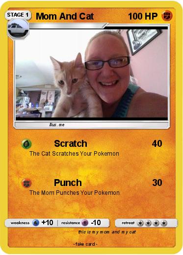 Pokemon Mom And Cat
