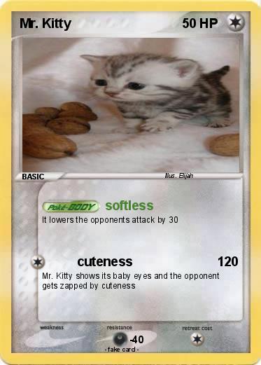 Pokemon Mr. Kitty