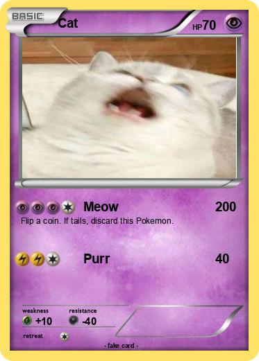 Pokemon Cat