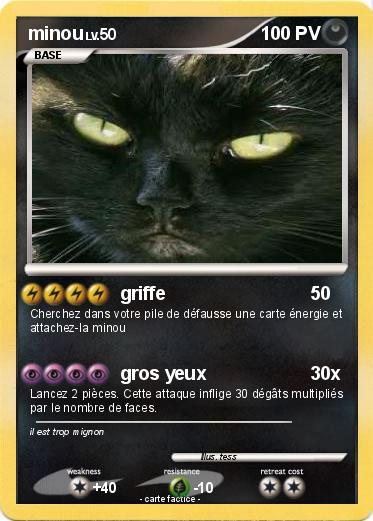 Pokemon minou