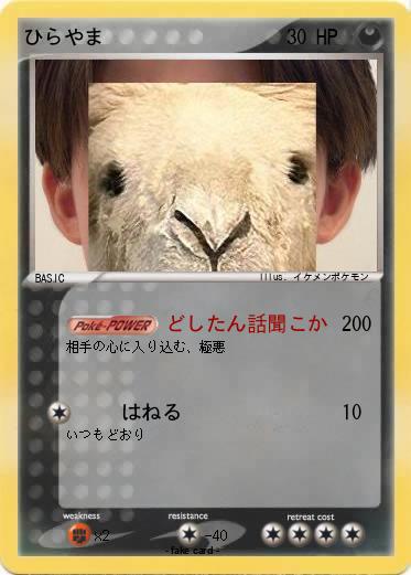 Pokemon ひらやま