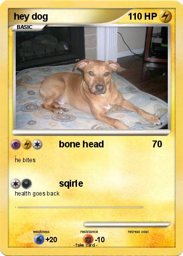 Pokemon hey dog
