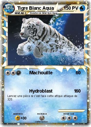 Pokemon Tigre Blanc Aqua