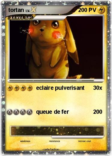 Pokemon tortan