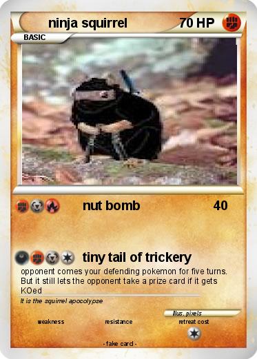 Pokemon ninja squirrel