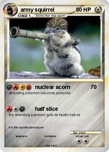 Pokemon army squirrel