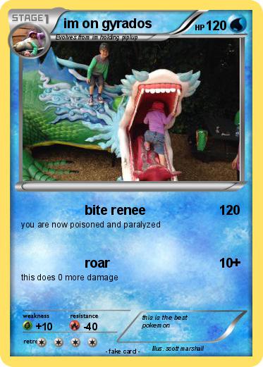 Pokemon im on gyrados