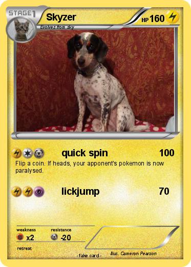 Pokemon Skyzer