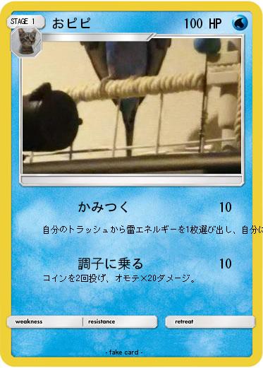 Pokemon おピピ