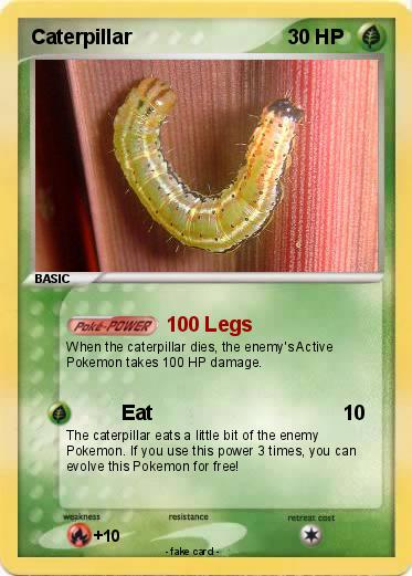 Pokemon Caterpillar