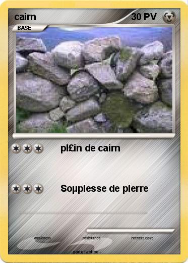 Pokemon cairn