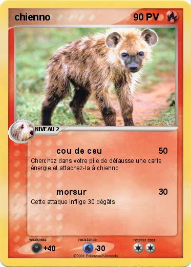 Pokemon chienno
