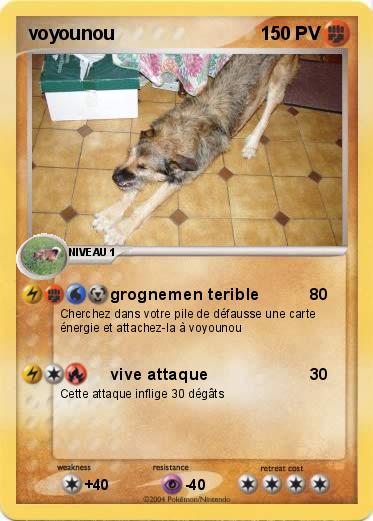Pokemon voyounou