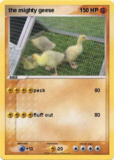 Pokemon the mighty geese