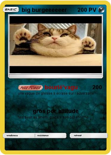 Pokemon big burgeeeeeer