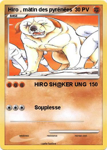 Pokemon Hiro , mâtin des pyrénées