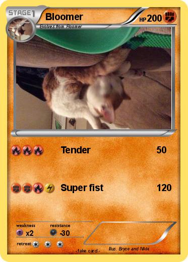 Pokemon Bloomer