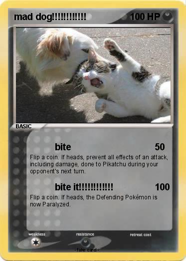 Pokemon mad dog!!!!!!!!!!!!