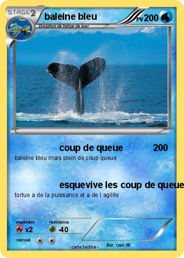 Pokemon baleine bleu