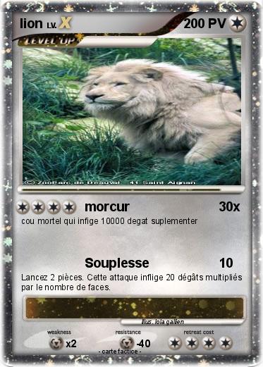 Pokemon lion