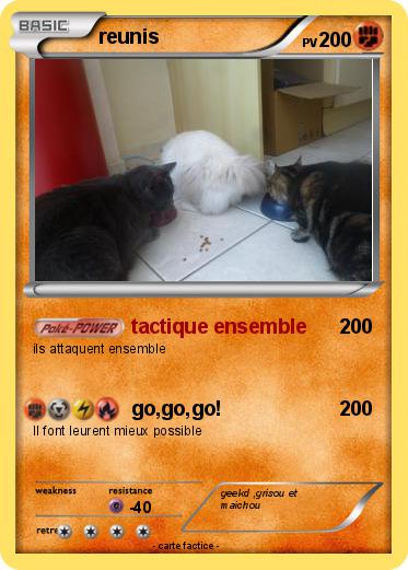 Pokemon reunis