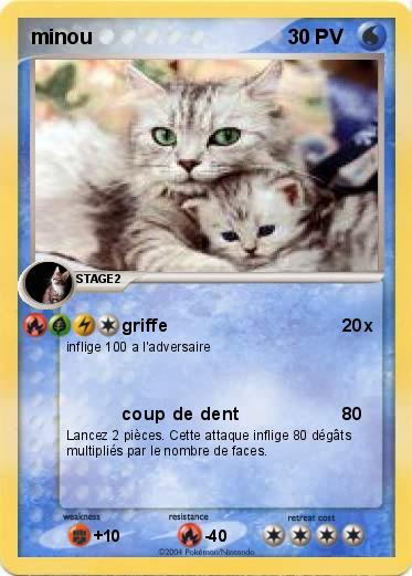 Pokemon minou